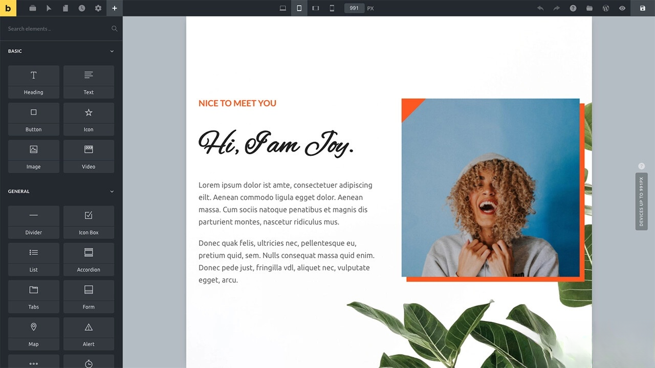 WordPress主题Bricks v1.9 破解版-易工具