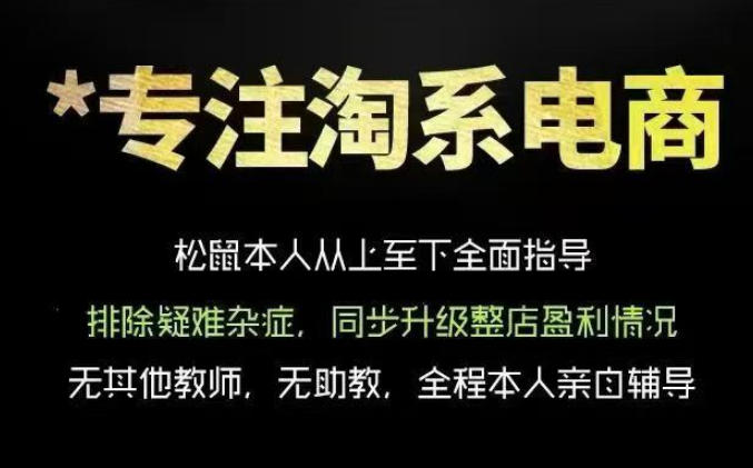 松鼠会电商VIP课程，从基础布局到高阶优化，助你掌握淘宝运营逻辑，提升店铺流量与转化（更新0809）-易工具