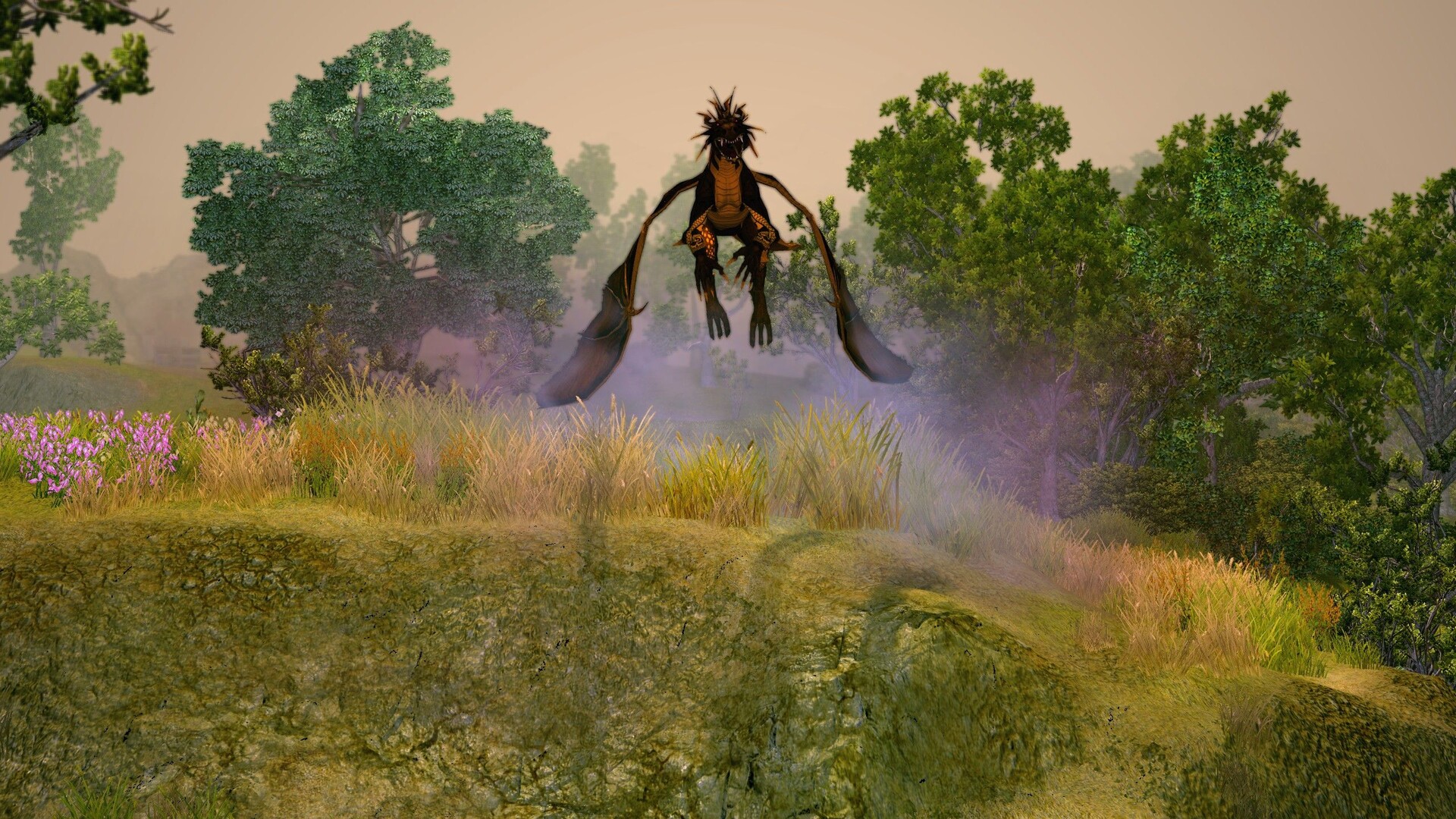 圣域2：重制版/Sacred 2 Remaster