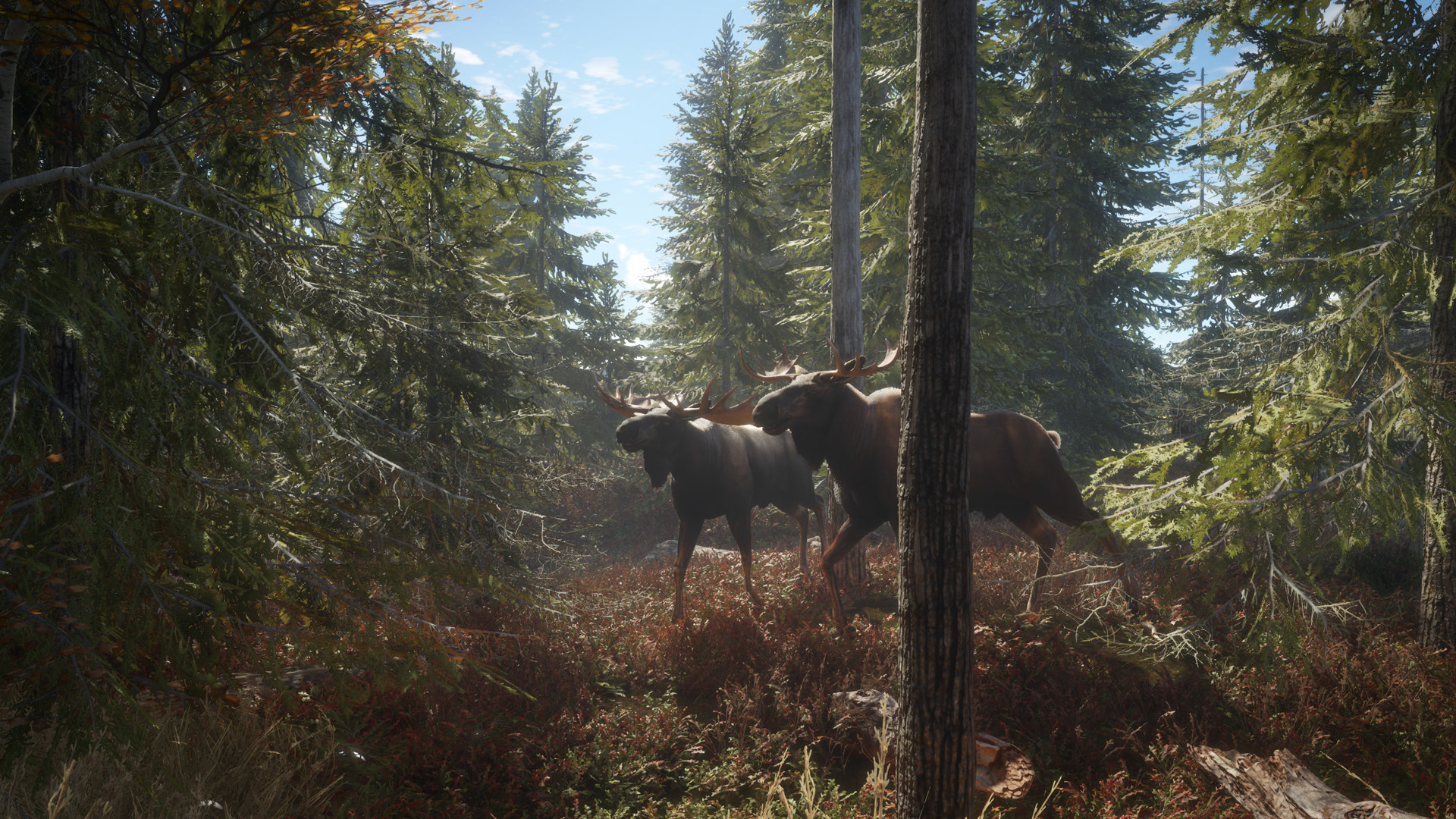 猎人:荒野的召唤/theHunter: Call of the Wild 版本更新-易工具