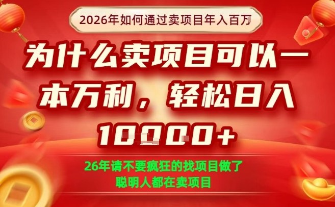 一单净利润1K+，26年想年入100个W，死磕卖项目就够了【揭秘】-易工具