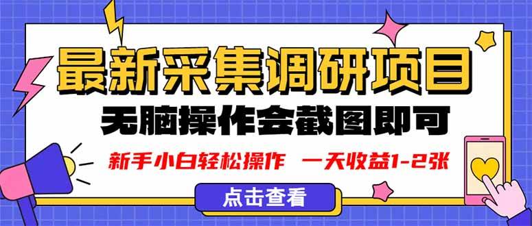 图片[1]-（16155期）新版采集调研项目，截图上传即可，无脑操作，日收益1-2张-易工具