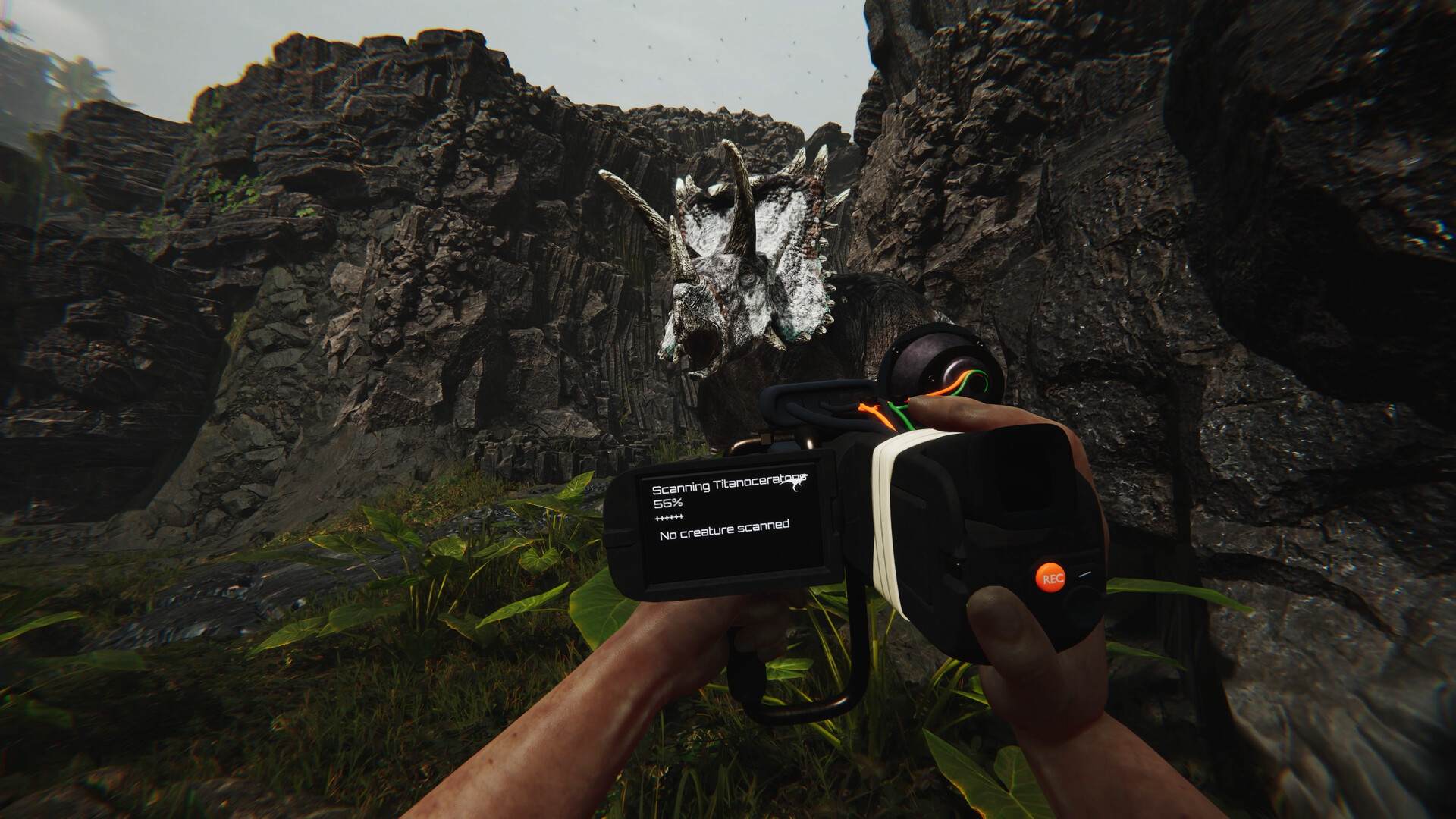 蛮荒计划/FEROCIOUS 蛮荒计划/FEROCIOUS