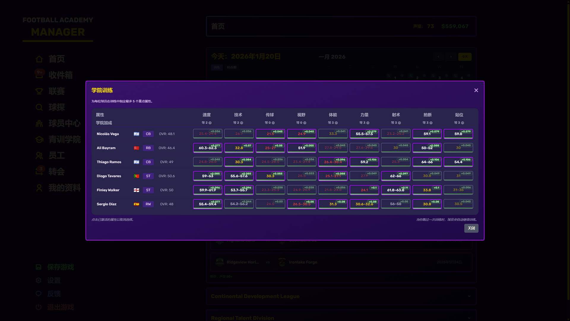 足球青训学院经理/Football Academy Manager 足球青训学院经理/Football Academy Manager