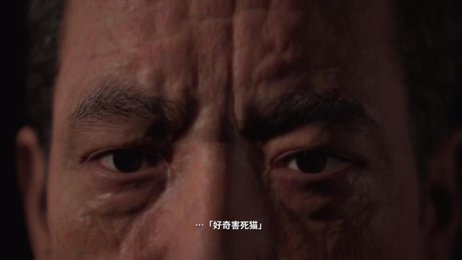 全景监视者/Panopticon 全景监视者/Panopticon