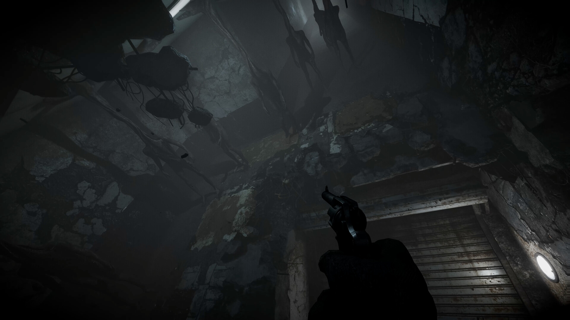 全面混沌/Total Chaos 全面混沌/Total Chaos