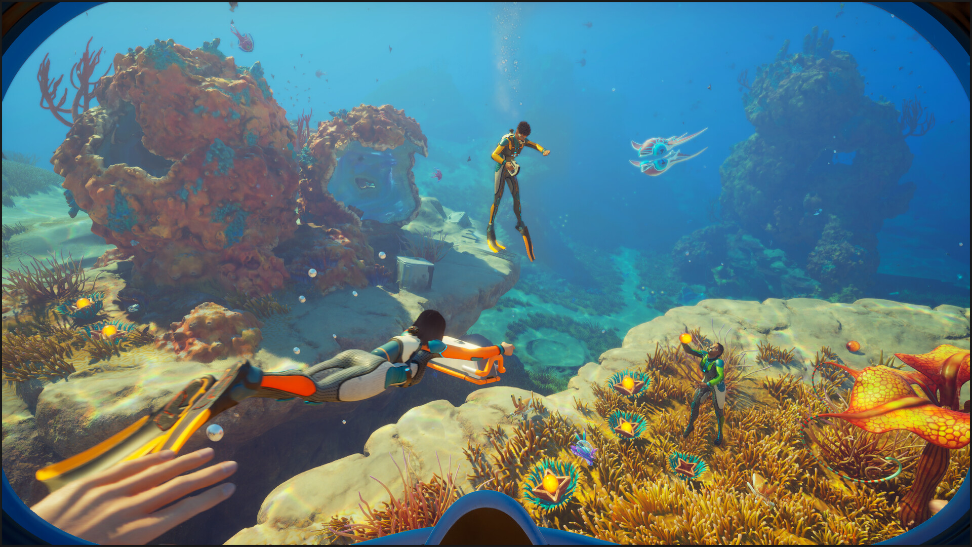 深海迷航2/异星水域2/Subnautica 2/支持网络联机 深海迷航2/异星水域2/Subnautica 2/支持网络联机