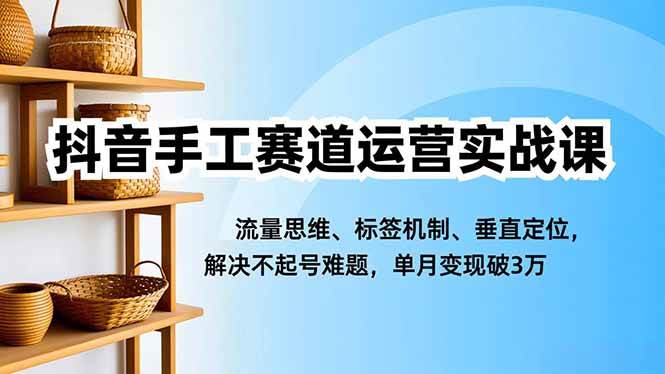 (16667期)抖音手工赛道运营实战课,流量思维、标签机制、垂直定位,解决不起号难题,单月变现破3万-易工具