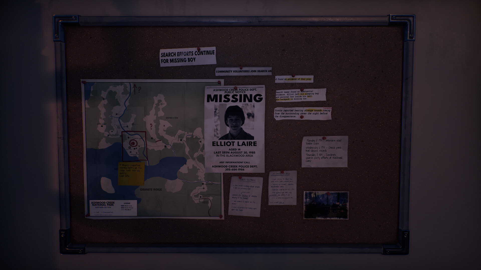 灰木溪电台/Radiolight 灰木溪电台/Radiolight