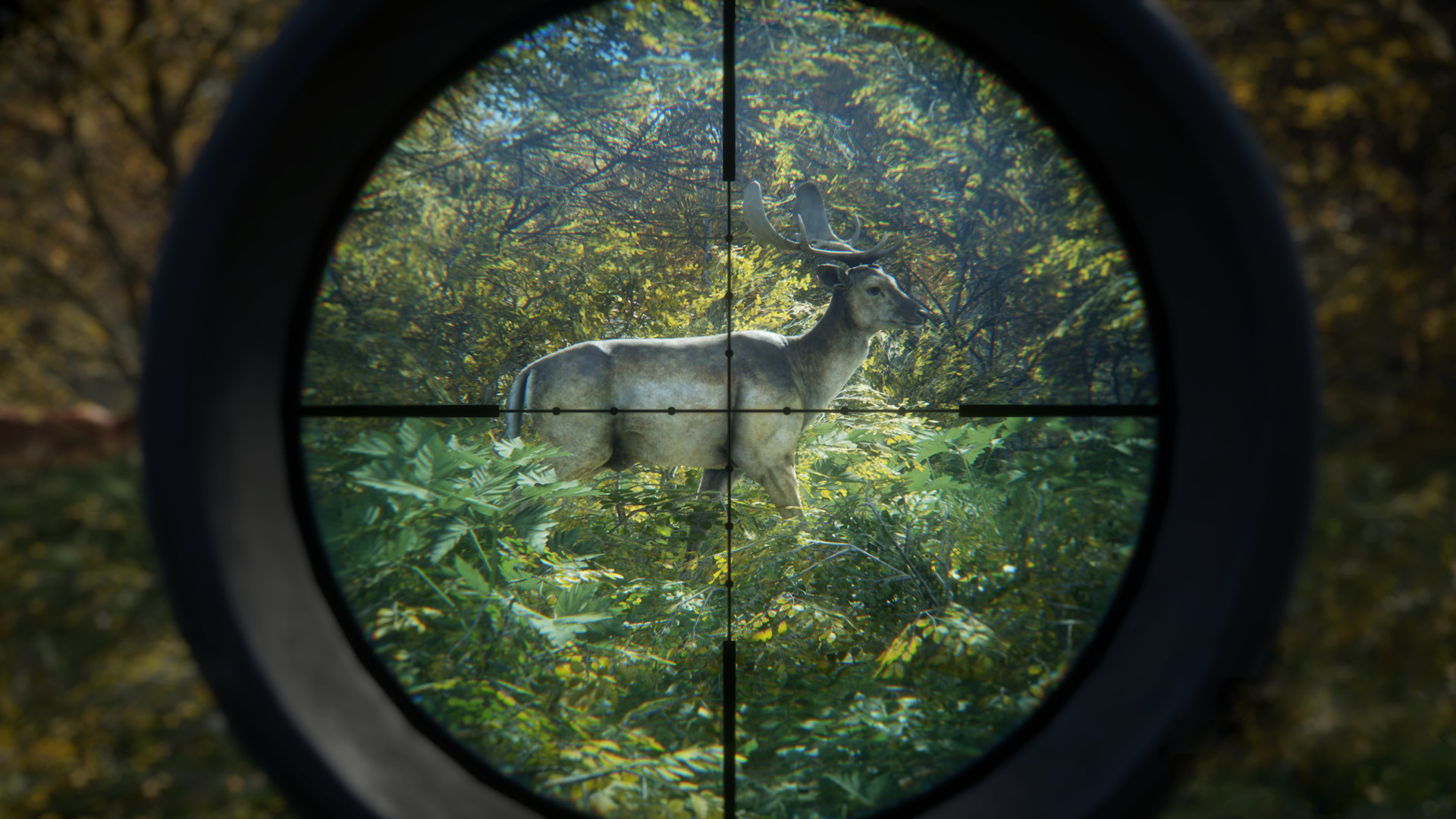 猎人:荒野的召唤/theHunter: Call of the Wild 版本更新 猎人:荒野的召唤/theHunter: Call of the Wild 版本更新
