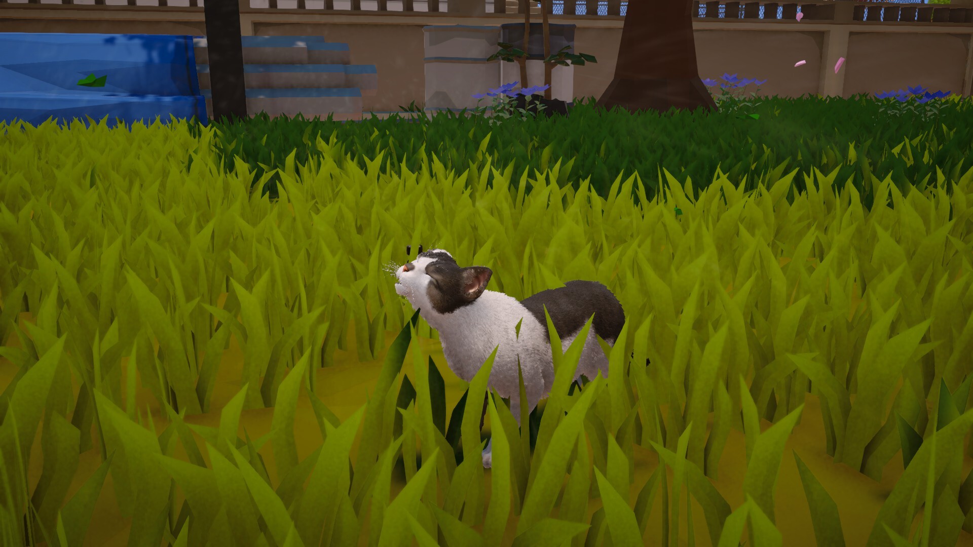 喵米：都市猫咪大乱/MEOWMI: City Cat Chaos 新游发布