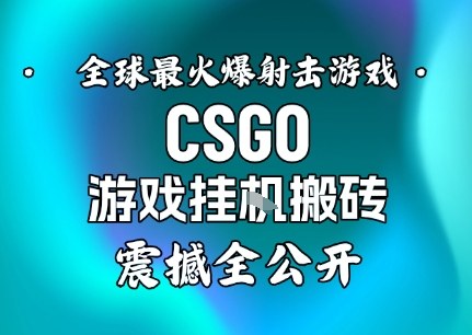 【年底大揭秘】基于全球最火爆的射击CSGO游戏挂G搬砖，日入5张+，震撼公开-易工具