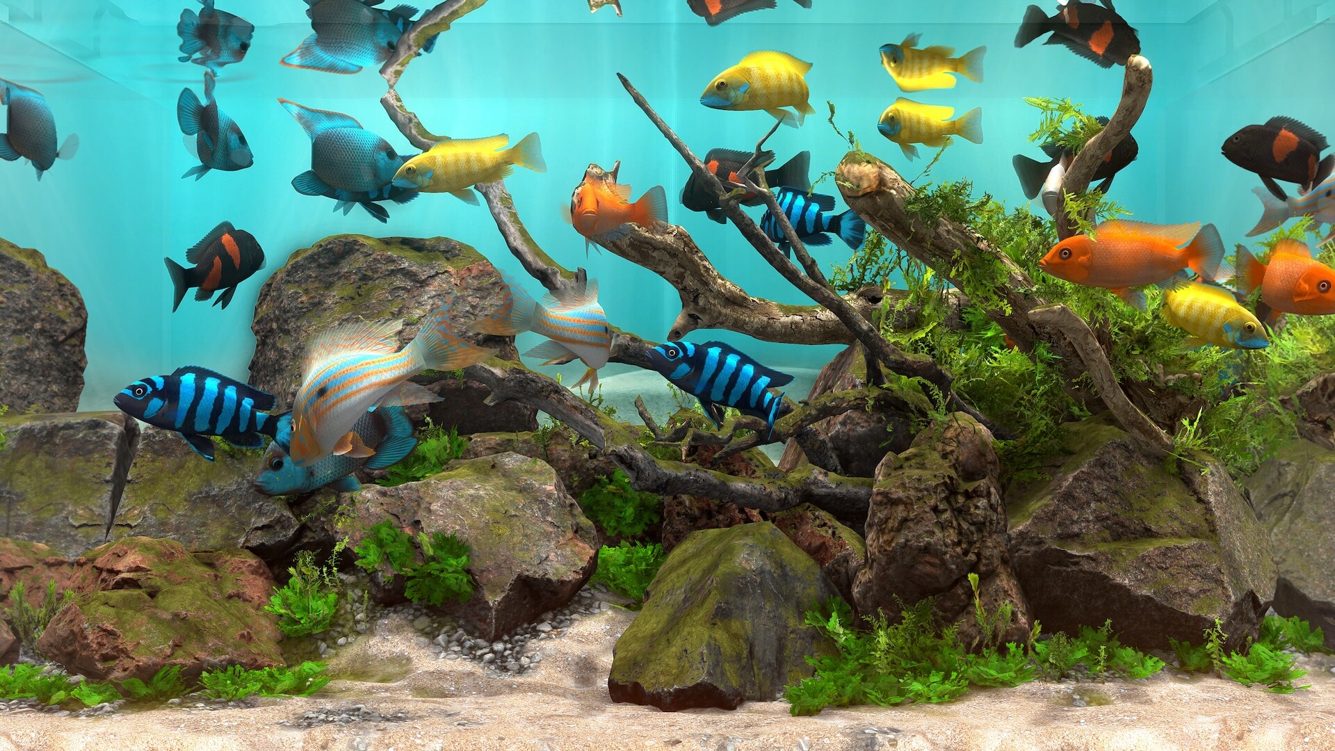 玻璃背后:水族馆模拟器/Behind Glass: Aquarium Simulator 版本更新 玻璃背后:水族馆模拟器/Behind Glass: Aquarium Simulator 版本更新