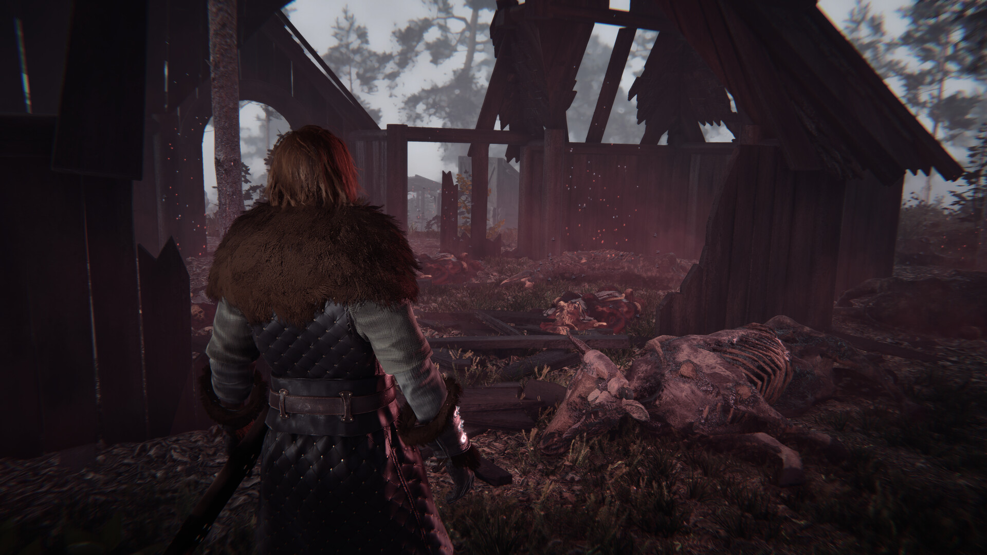 覆巢之地/Nested Lands 覆巢之地/Nested Lands