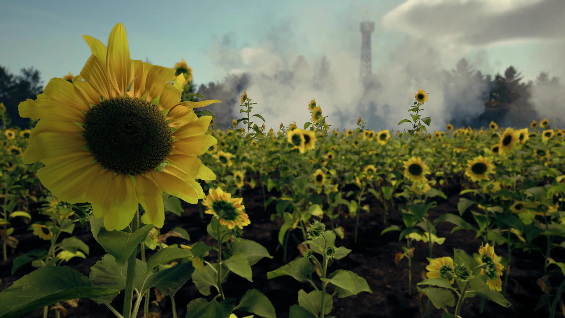 来自头顶的死亡/Death From Above 来自头顶的死亡/Death From Above