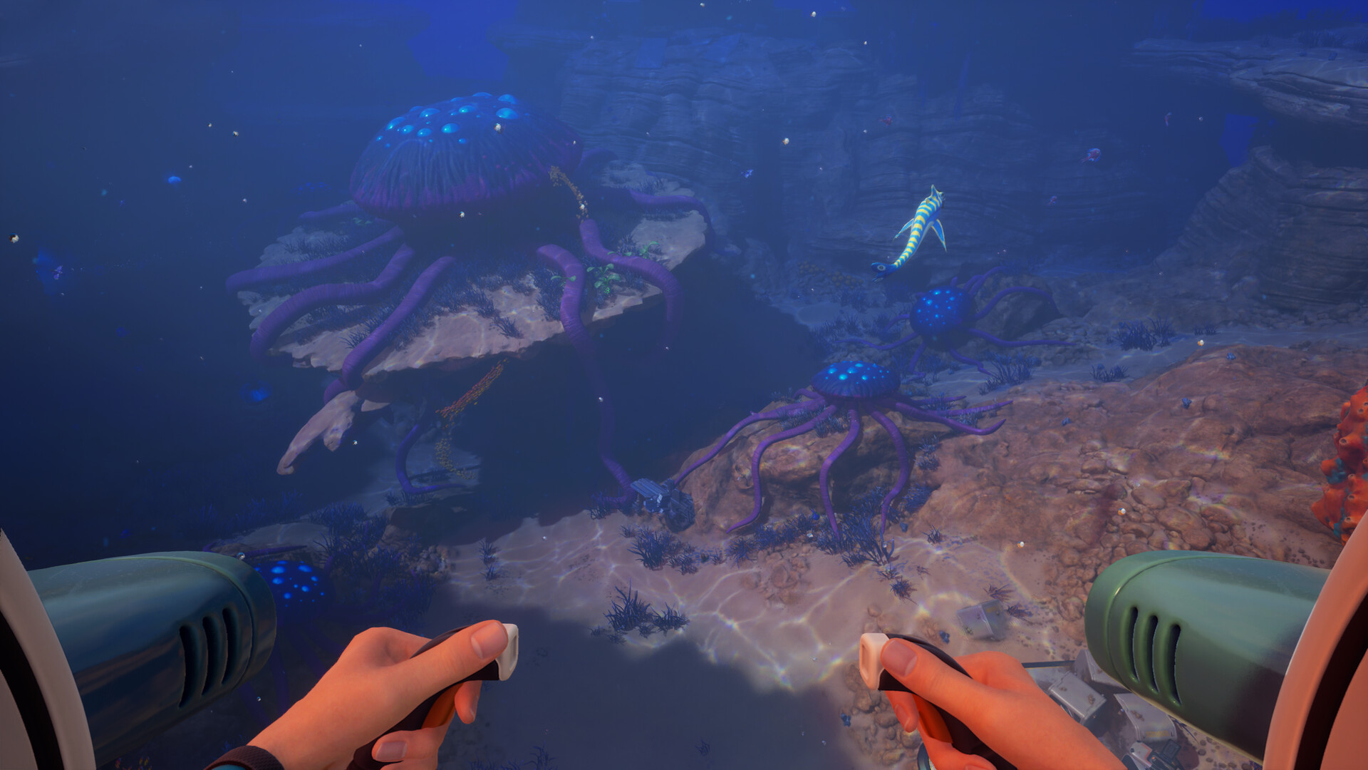 深海迷航2/异星水域2/Subnautica 2/支持网络联机 深海迷航2/异星水域2/Subnautica 2/支持网络联机