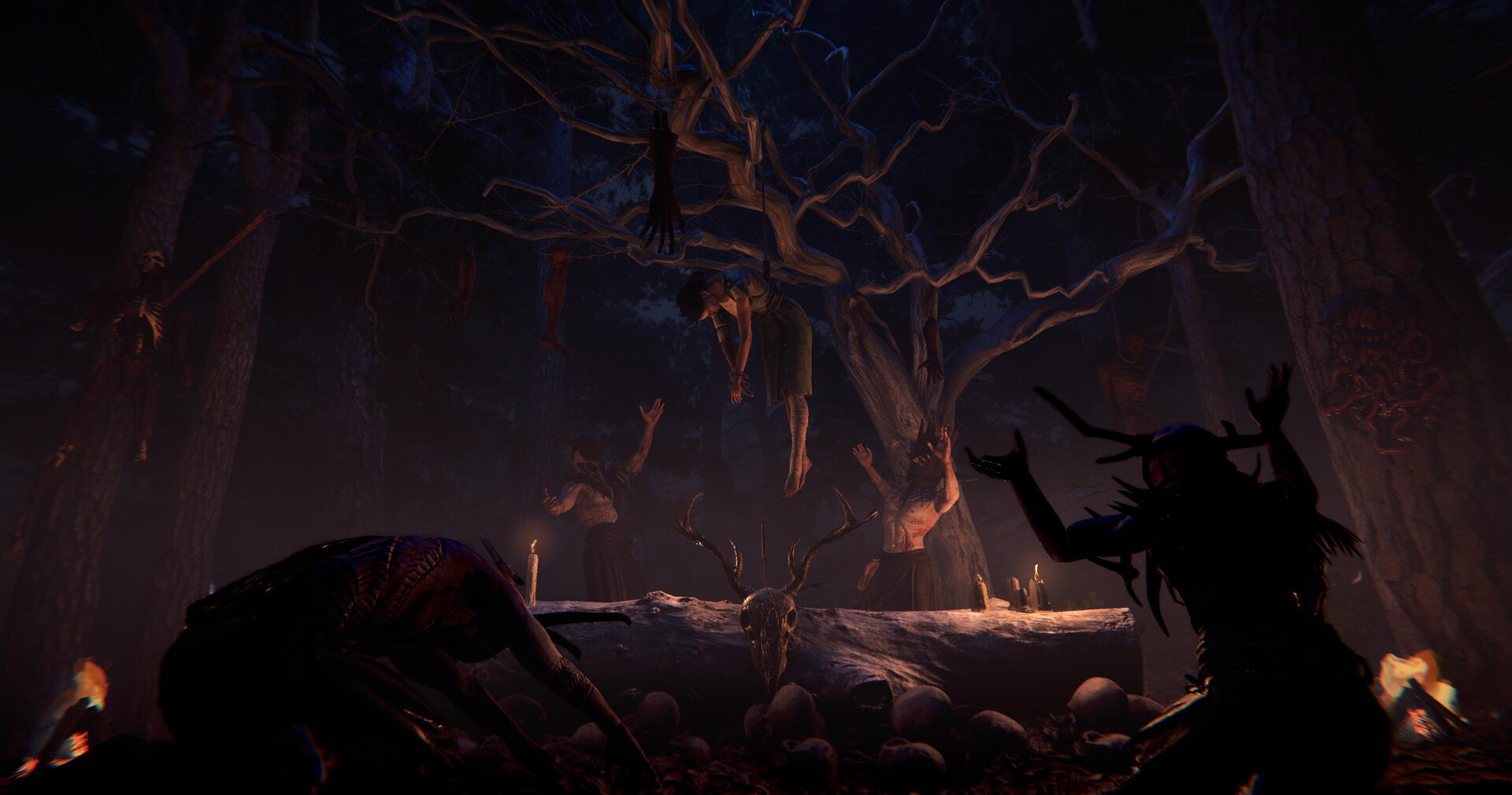 覆巢之地/Nested Lands 覆巢之地/Nested Lands