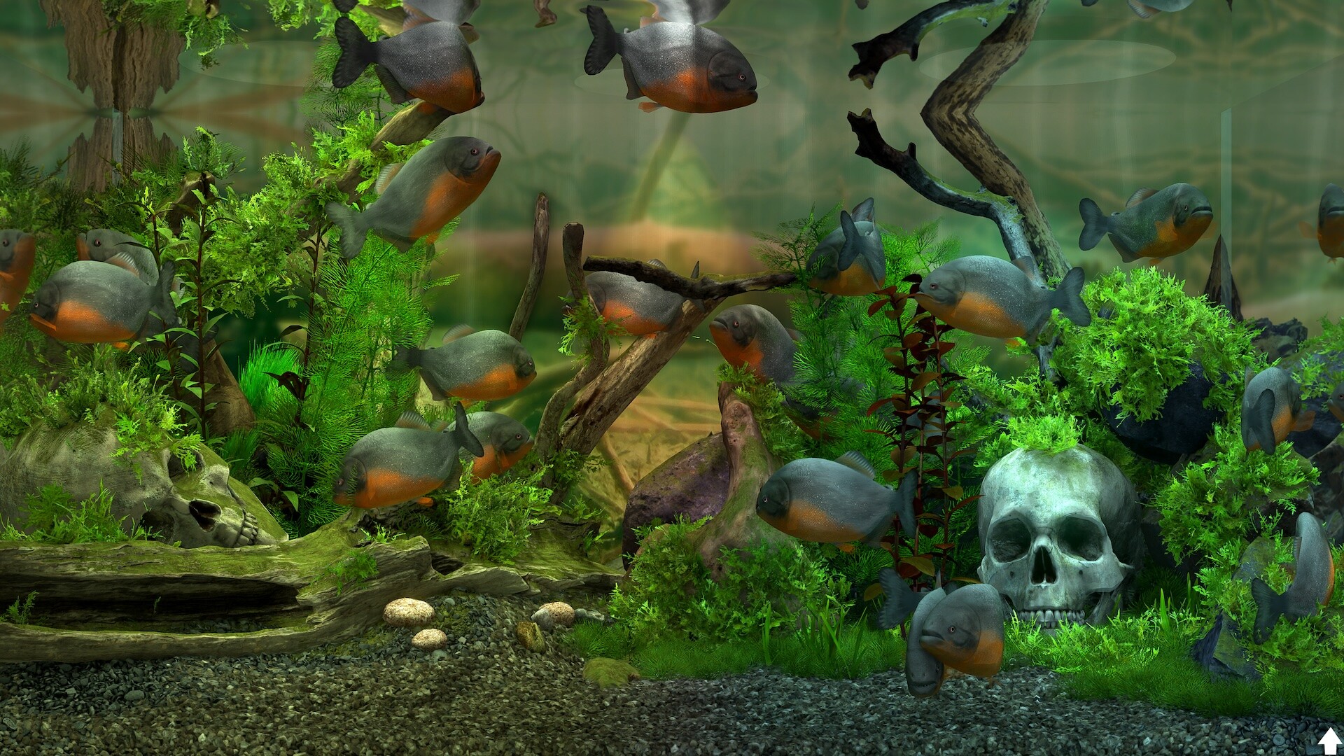 玻璃背后:水族馆模拟器/Behind Glass: Aquarium Simulator 版本更新 玻璃背后:水族馆模拟器/Behind Glass: Aquarium Simulator 版本更新