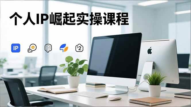 (16616期)个人IP崛起实操课程,IP思维塑造+赛道精准调研+账号高变现搭建+内容创作-易工具