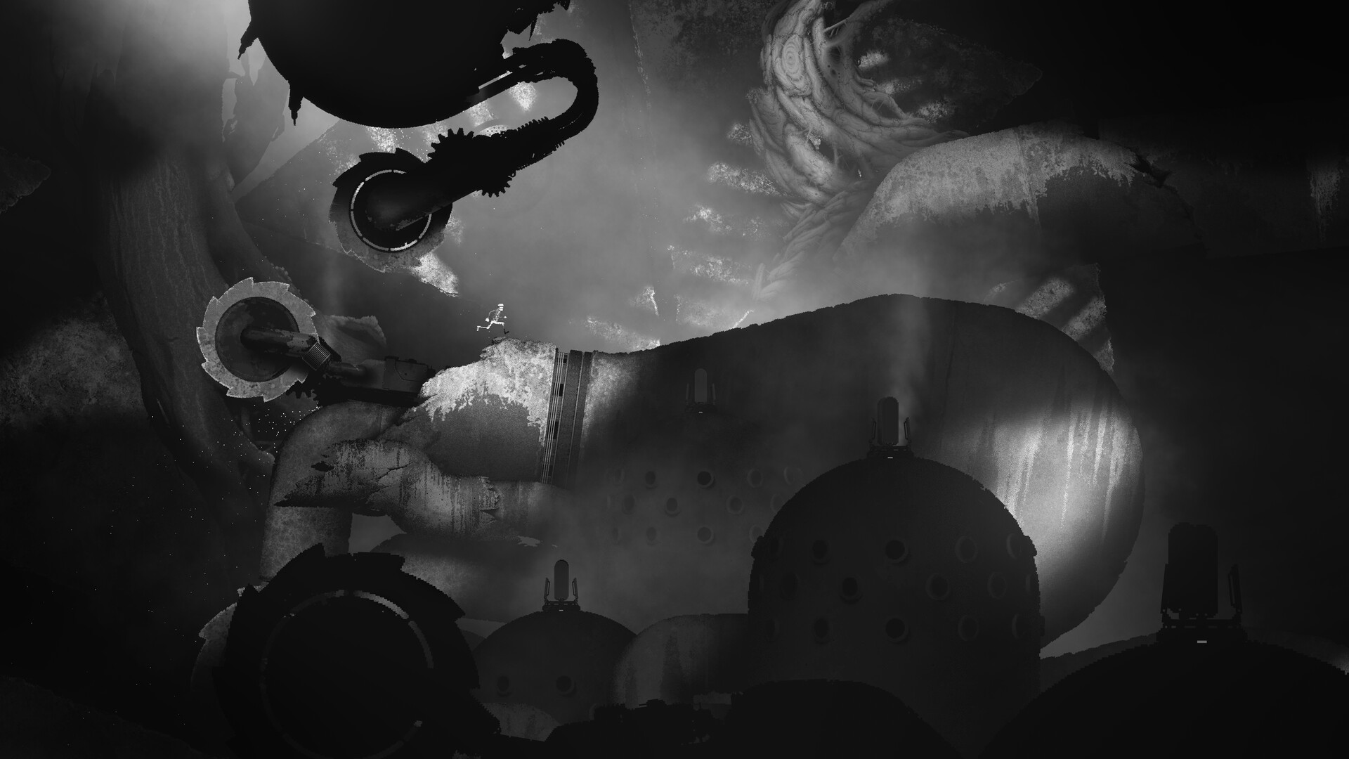 换影循迹/Bionic Bay