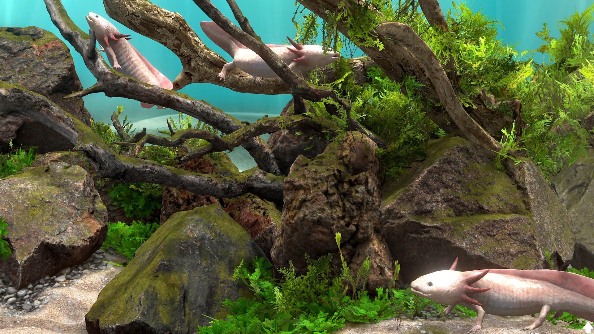 玻璃背后:水族馆模拟器/Behind Glass: Aquarium Simulator 版本更新 玻璃背后:水族馆模拟器/Behind Glass: Aquarium Simulator 版本更新