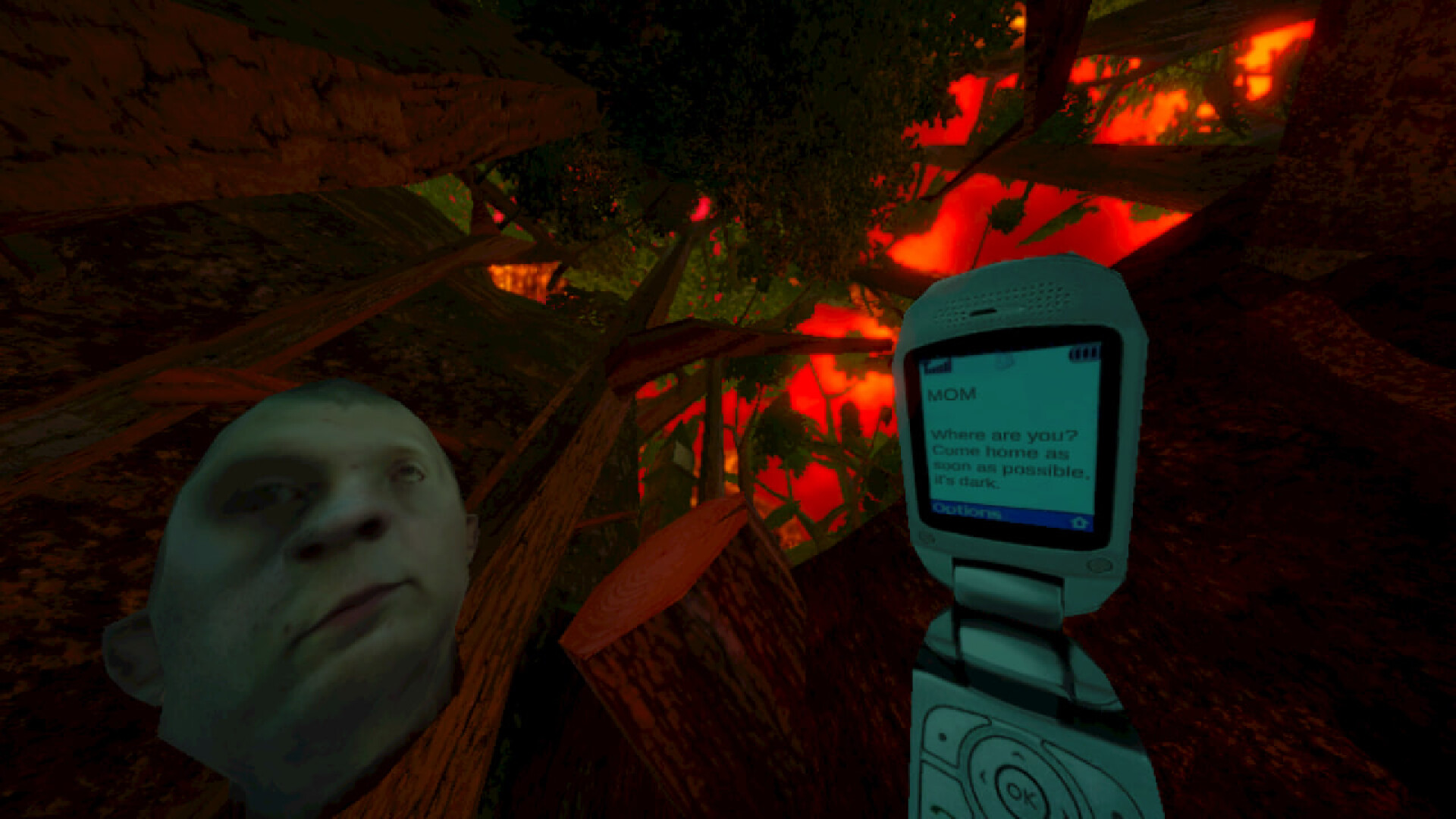 暴煞狂想2/Violent Horror Stories-易工具