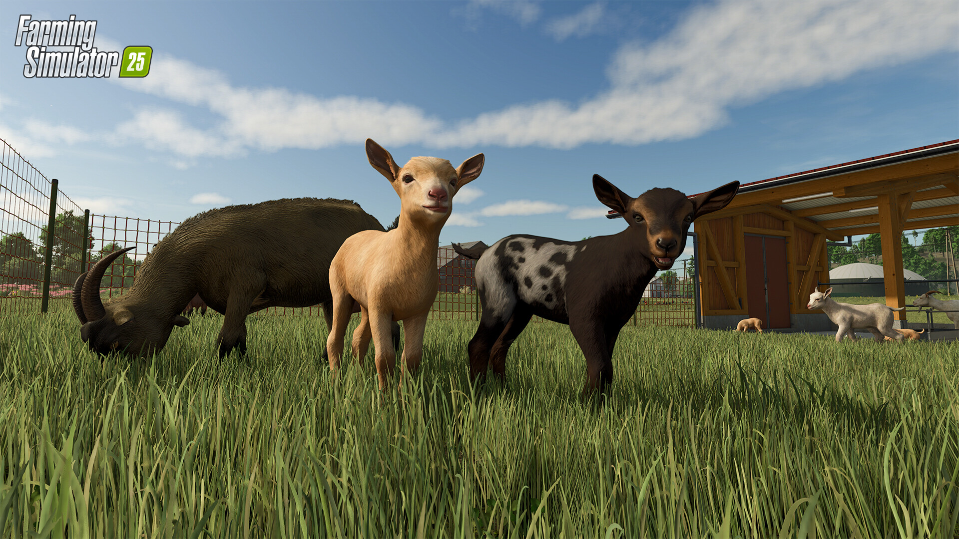 模拟农场25/Farming Simulator 25 版本更新