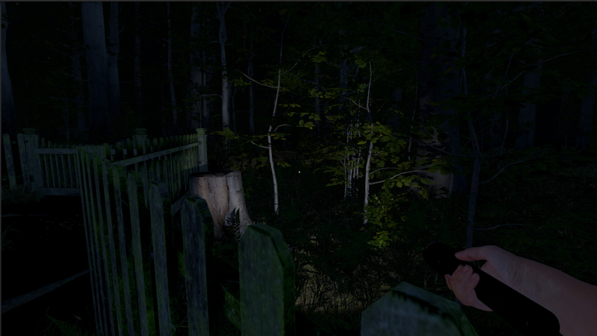 灰人:人类绑架/The Greys: Human Abductions-易工具