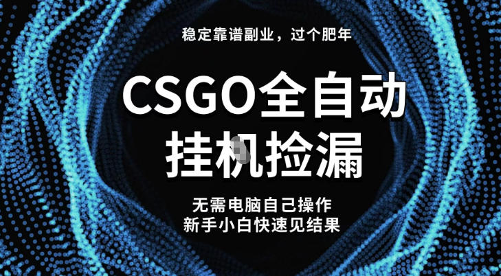 【稳定副业】全球最热门游戏CSGO全自动捡漏,最新玩法,新手小白日入5张+【揭秘】-易工具
