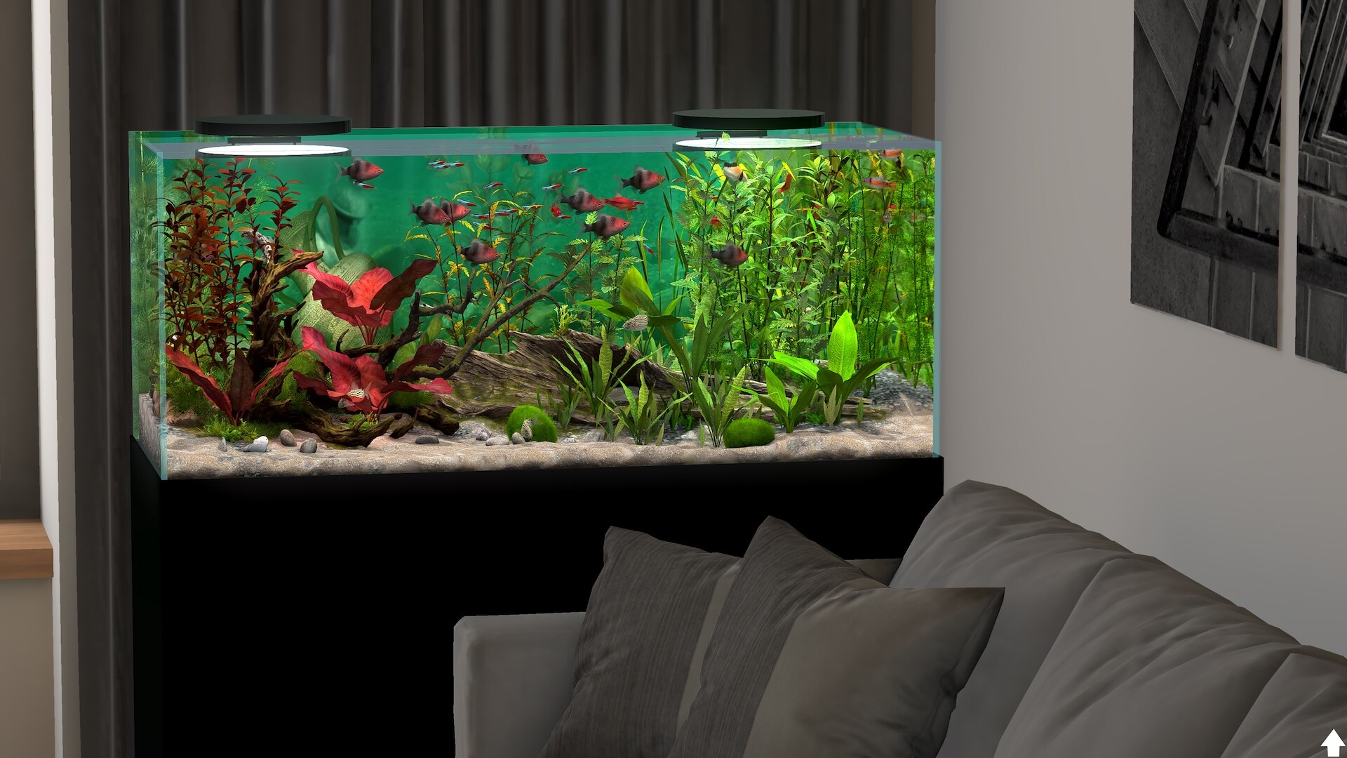 玻璃背后:水族馆模拟器/Behind Glass: Aquarium Simulator 版本更新 玻璃背后:水族馆模拟器/Behind Glass: Aquarium Simulator 版本更新